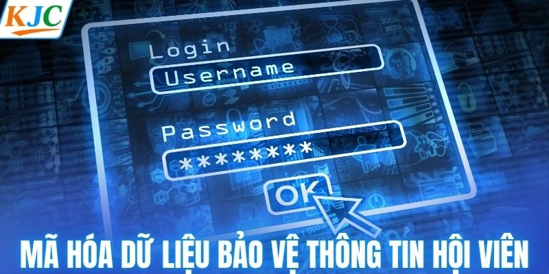 Mã hóa dữ liệu giúp bảo vệ thông tin người dùng